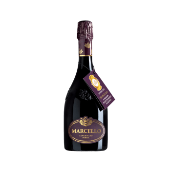 Marcello Lambrusco Dry Gran Cru