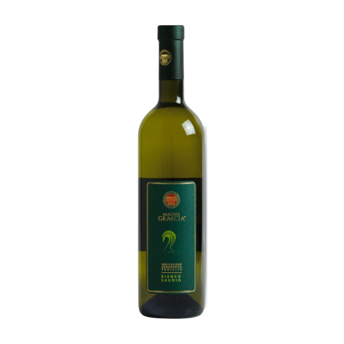 Gaudio Bianco Calabria IGP 2023