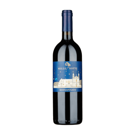 Mille e una Notte 2017