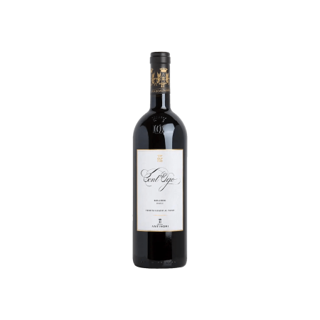 Cont’Ugo Bolgheri Rosso DOC 2024 Tenuta Guado al Tasso