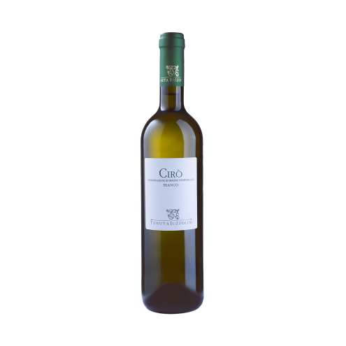 Cirò Bianco DOC 2025 Tenuta Iuzzolini