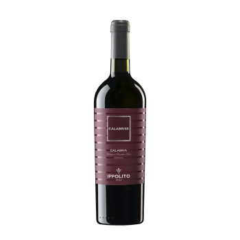 Calabrise Rosso Calabria IGT 2023