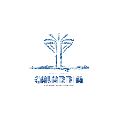 Gassosa "Mineralfriz" cl. 100 x 12