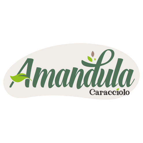 Pasta di Mandorla Amandula gr. 500