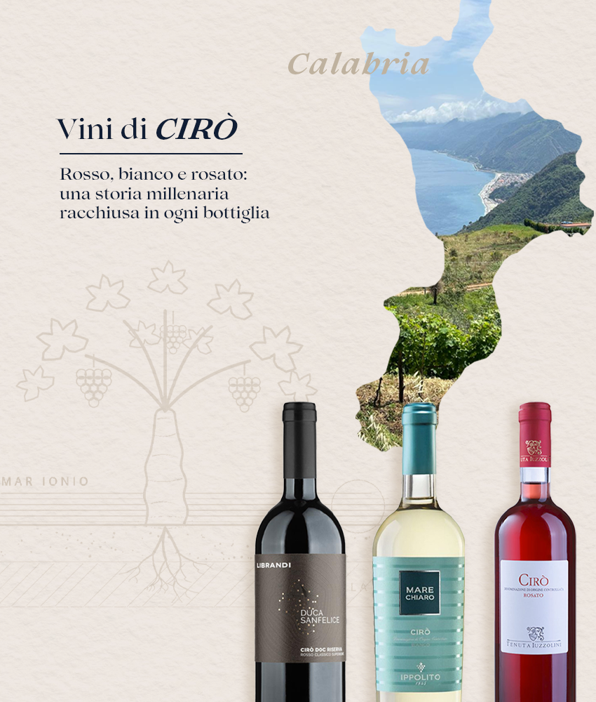 Vini di Cir&ograve; DOC: il territorio, le tipologie e le cantine a catalogo